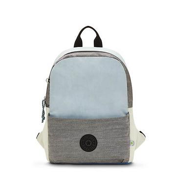 Bolsas Para Portatil Kipling Sonnie 15" Backpack Grises | MX 1672HA